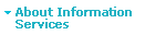 About Information Services
